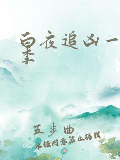 白夜追凶一共几季