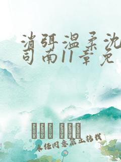 消弭温柔沈念霍司南11章免费阅读