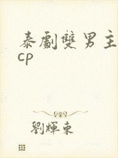 泰剧双男主腐剧cp