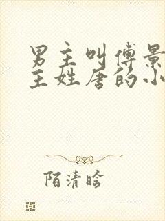 男主叫傅景琛女主姓唐的小说