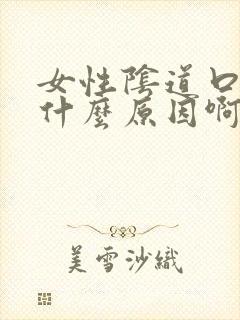 女性阴道口痒是什么原因啊