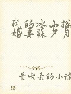 我的冰山总裁未婚妻苏夕月叶辰