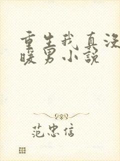 重生我真没想当暖男小说