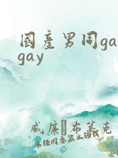 国产男同gaygay