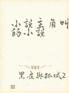 小说主角叫秦宇的小说