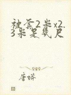 被套2米x2.3米是几尺