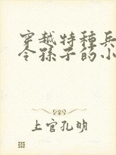 穿越特种兵成司令孙子的小说