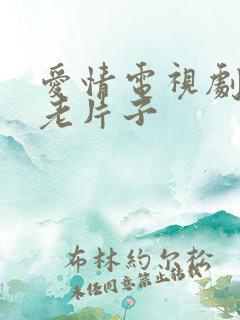 爱情电视剧推荐老片子