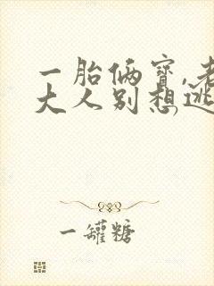 一胎俩宝,老婆大人别想逃1893