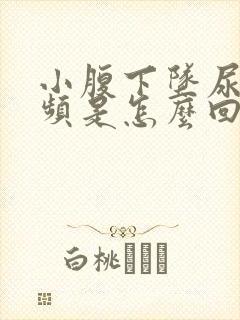 小腹下坠尿急尿频是怎么回事