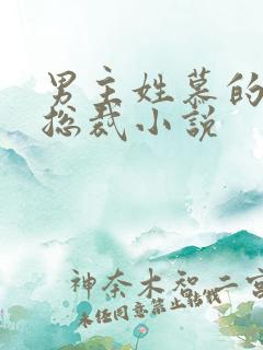 男主姓慕的所有总裁小说