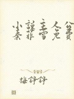 小说主人公沈浩秦菲雪免费阅读全文最新章节