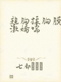 亲胸揉胸膜下刺激娇喘