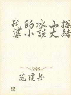 我的冰山总裁老婆小说大结局