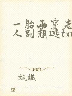 一胎两宝老婆大人别想逃txt免费下载