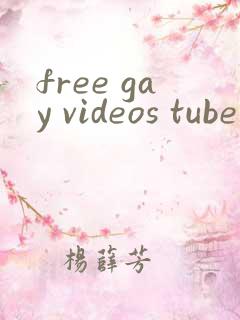 free gay videos tube