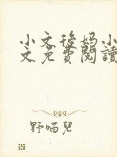 小文后妈小说全文免费阅读最新章节