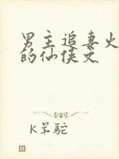 男主追妻火葬场的仙侠文