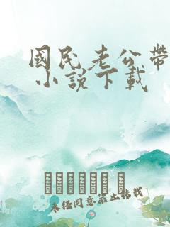 国民老公带回家 小说下载