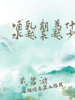 哺乳期为什么奶水越来越少