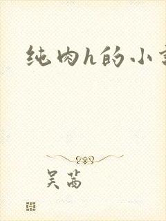 纯肉h的小说