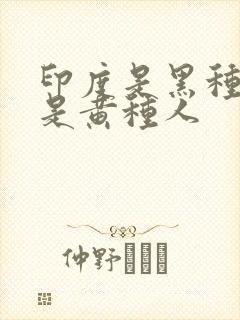 印度是黑种人还是黄种人