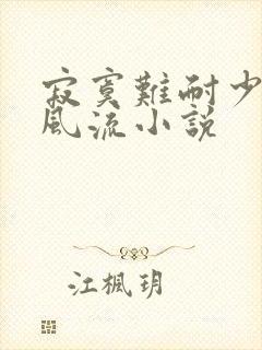 寂寞难耐少妇的风流小说