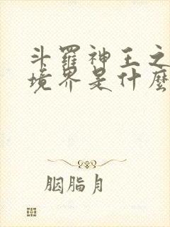 斗罗神王之上的境界是什么