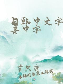日韩中文字幕人妻中字