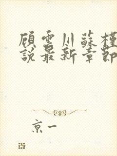 顾云川苏槿月小说最新章节免费阅读