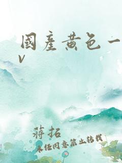 国产黄色一级av