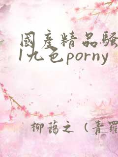 国产精品骚货91九色porny
