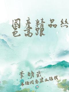 国产精品丝袜黑色高跟