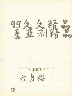 99久久精品国产亚洲精品