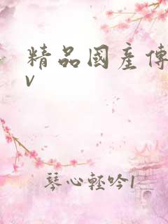 精品国产传媒av