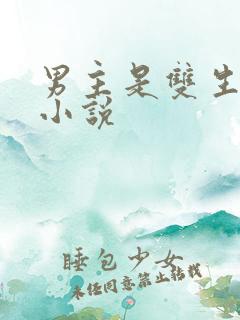 男主是双生子的小说