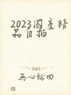2023国产精品自拍