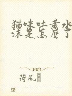 猫咪吐黄水带泡沫是怎么了