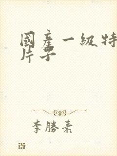 国产一级特黄的片子