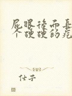 屁眼后面长了一个硬硬的疙瘩