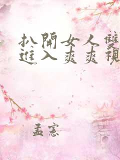 扒开女人双腿猛进入爽爽视频网站