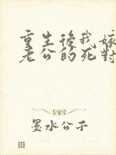 重生后我嫁给了老公的死对头 短剧