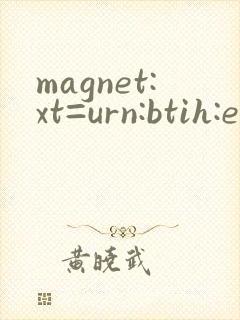magnet:xt=urn:btih:e6ad9543208