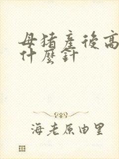 母猪产后高烧打什么针