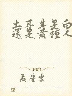 土耳其是白种人还是黄种人