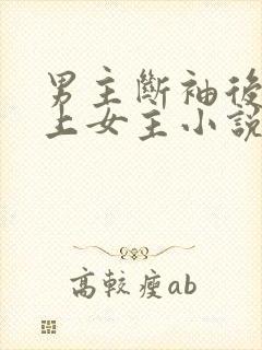 男主断袖后来爱上女主小说