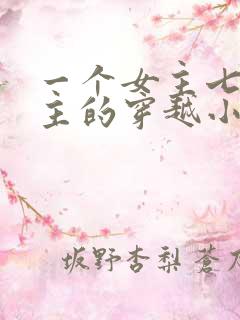 一个女主七个男主的穿越小说