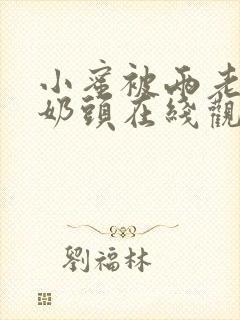 小蜜被两老头吸奶头在线观看