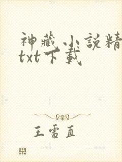 神藏小说精校版txt下载