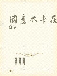 国产不卡在线小av